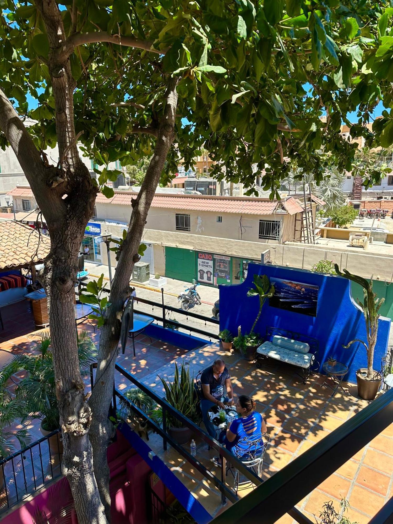 Siesta Suites Boutique Hotel Cabo San Lucas Kültér fotó