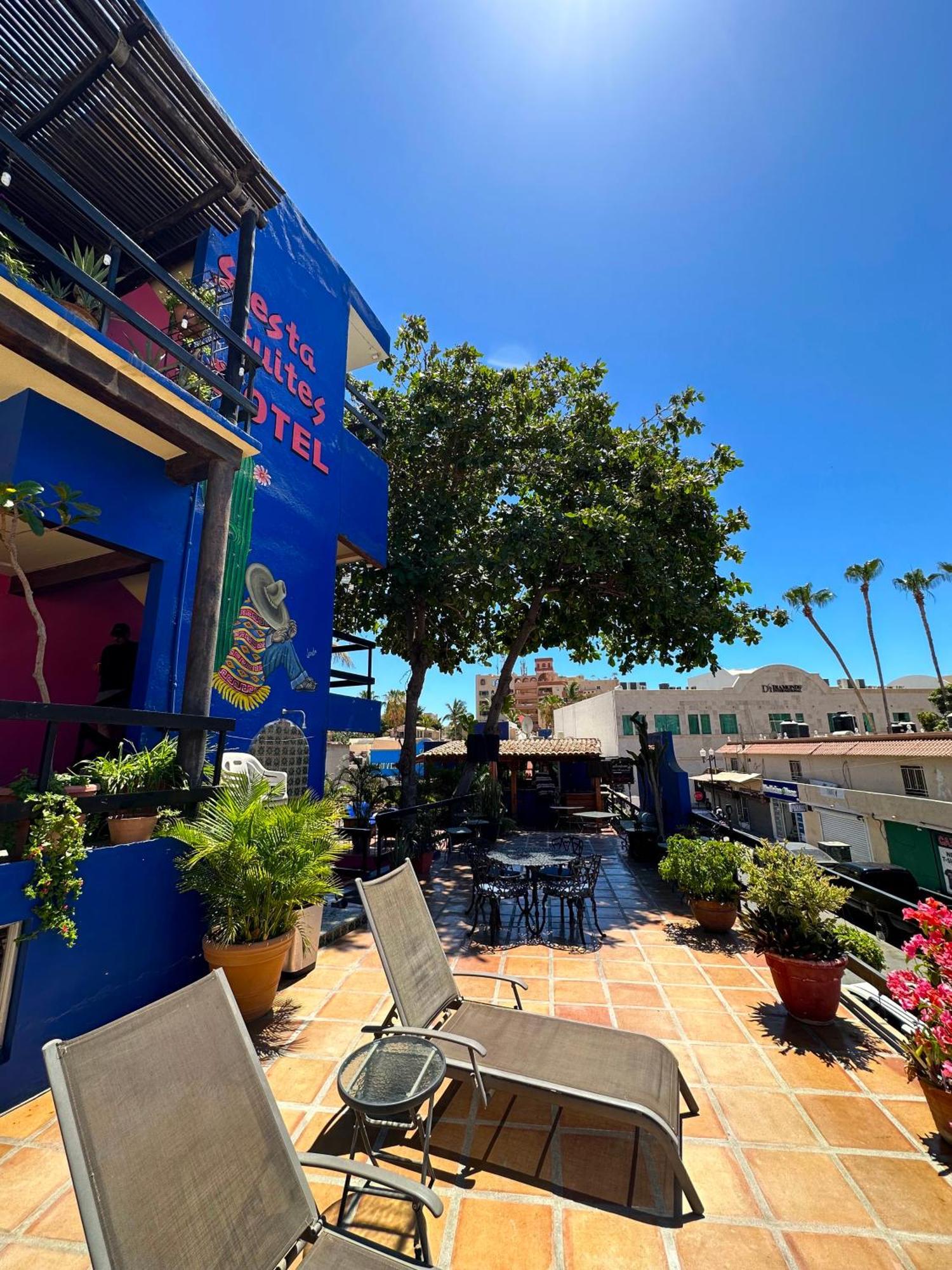Siesta Suites Boutique Hotel Cabo San Lucas Kültér fotó