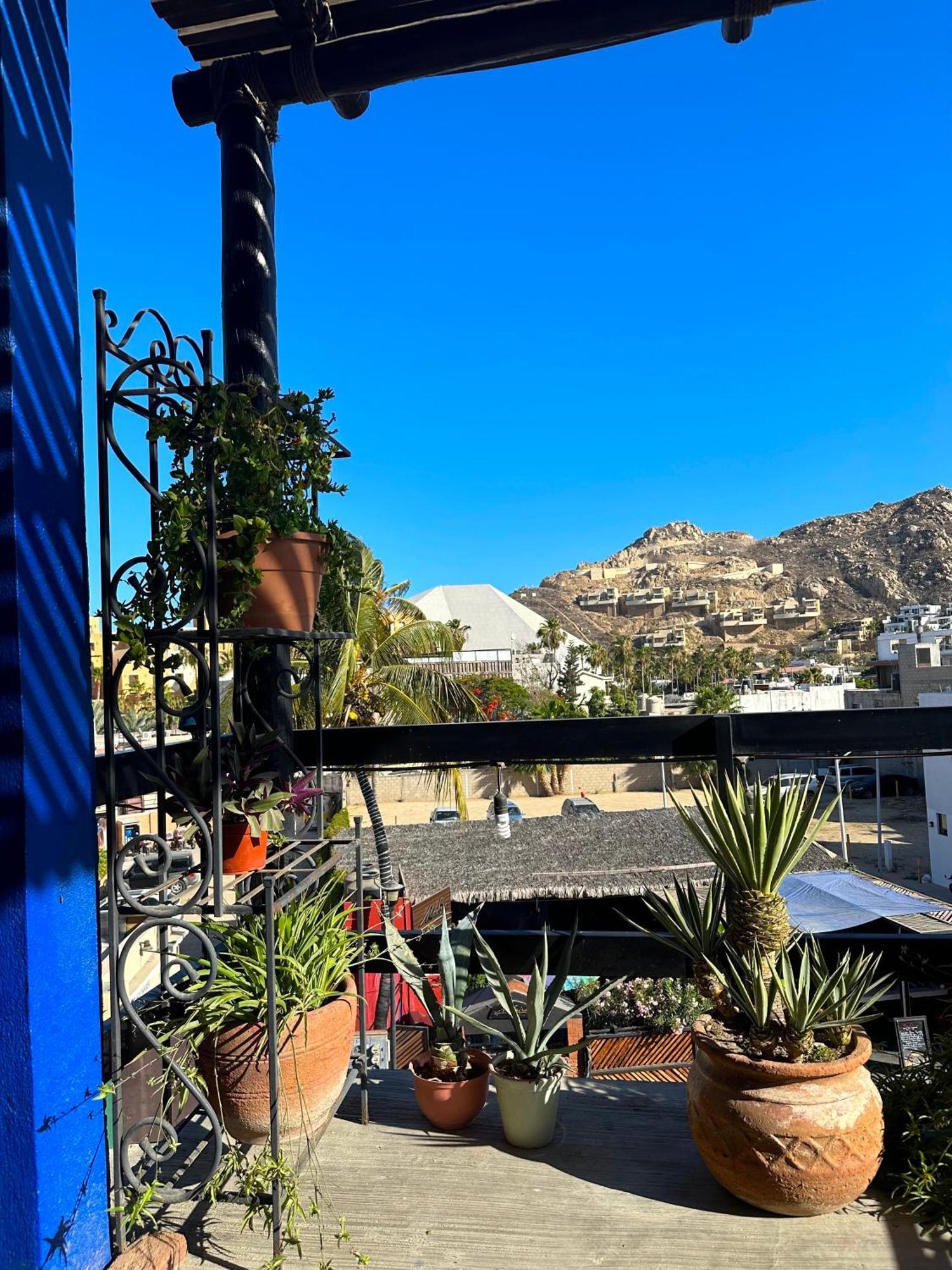 Siesta Suites Boutique Hotel Cabo San Lucas Kültér fotó