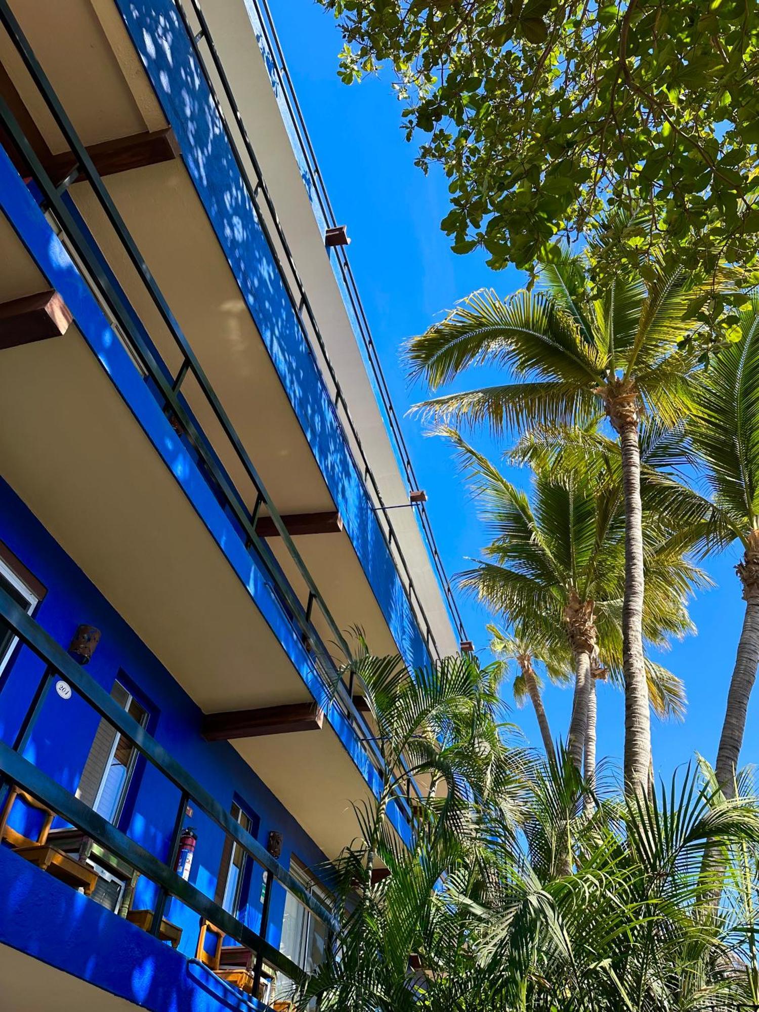 Siesta Suites Boutique Hotel Cabo San Lucas Kültér fotó
