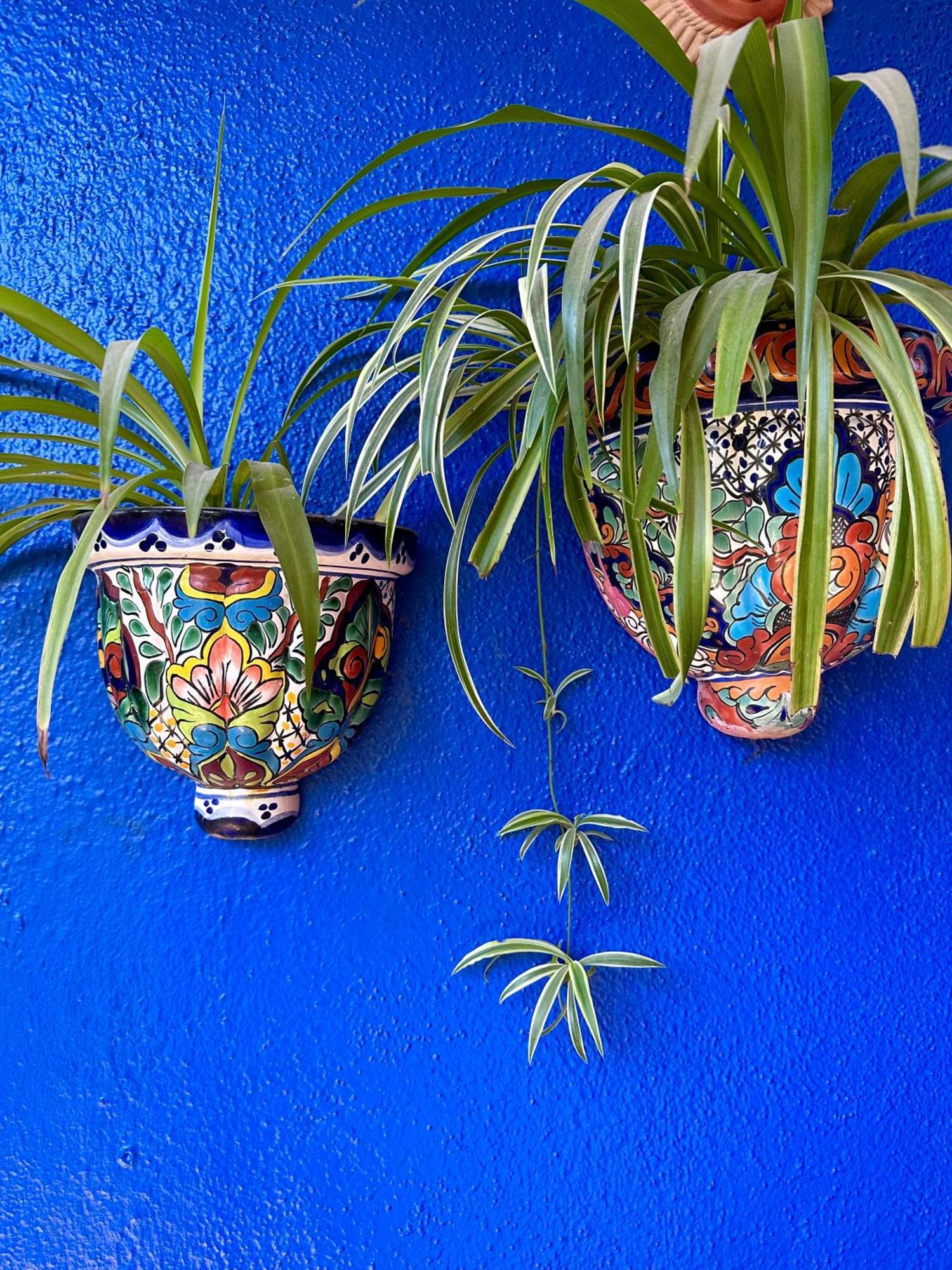 Siesta Suites Boutique Hotel Cabo San Lucas Kültér fotó