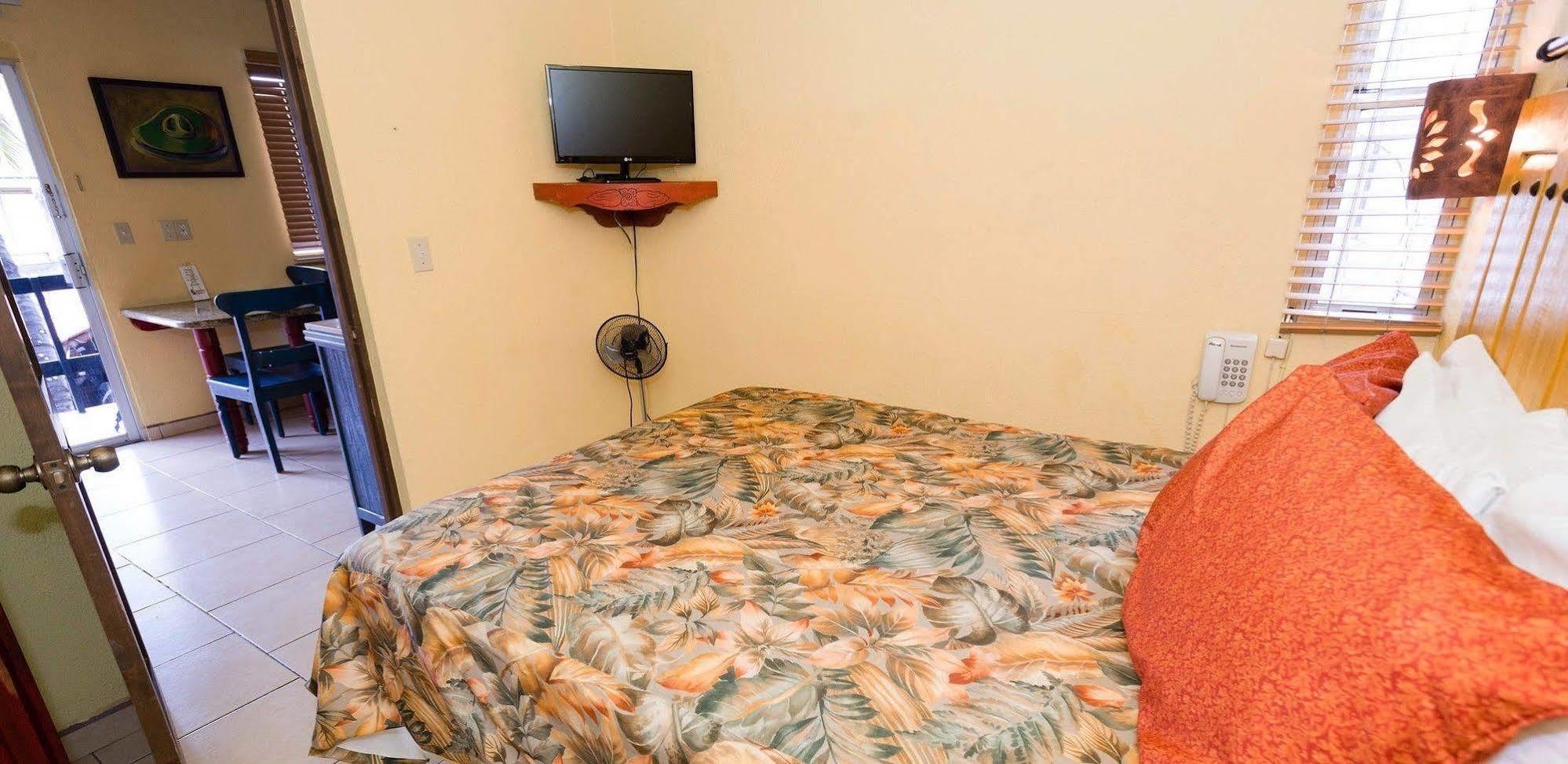 Siesta Suites Boutique Hotel Cabo San Lucas Kültér fotó